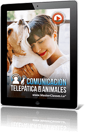 Telepatía animal emprendedores conscientes