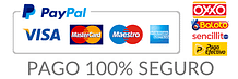 PAGO-100-SEGURO